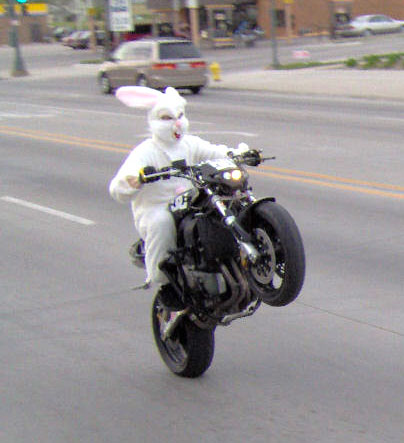 bunnybike.jpg